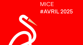 Miniature News MICE Avril 2025